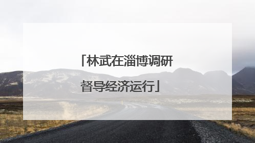 林武在淄博调研督导经济运行