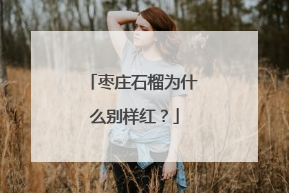 枣庄石榴为什么别样红？