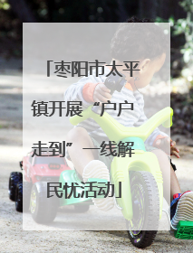 枣阳市太平镇开展“户户走到”一线解民忧活动