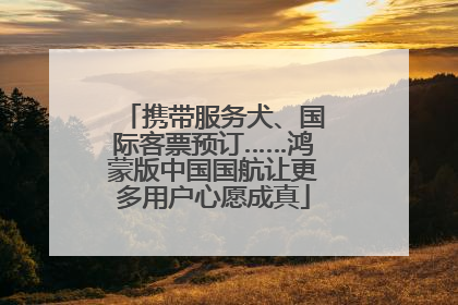 携带服务犬、国际客票预订……鸿蒙版中国国航让更多用户心愿成真