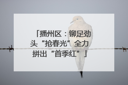 播州区：铆足劲头“抢春光”全力拼出“首季红”