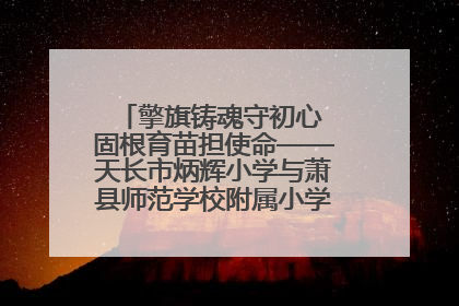 擎旗铸魂守初心 固根育苗担使命——天长市炳辉小学与萧县师范学校附属小学结对共建活动纪实