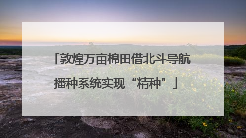 敦煌万亩棉田借北斗导航播种系统实现“精种”