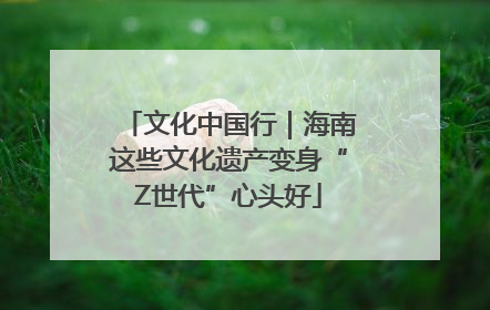 文化中国行｜海南这些文化遗产变身“Z世代”心头好