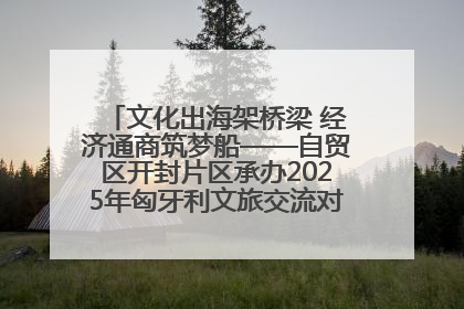 文化出海架桥梁 经济通商筑梦船——自贸区开封片区承办2025年匈牙利文旅交流对接活动专场