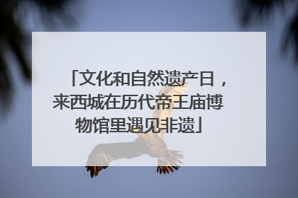 文化和自然遗产日，来西城在历代帝王庙博物馆里遇见非遗