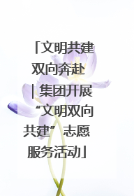 文明共建 双向奔赴｜集团开展“文明双向共建”志愿服务活动