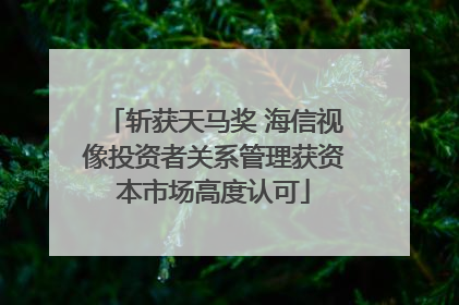斩获天马奖 海信视像投资者关系管理获资本市场高度认可