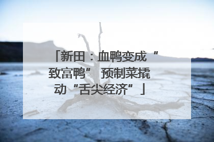 新田：血鸭变成“致富鸭” 预制菜撬动“舌尖经济”
