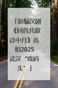 新编汉剧《回首共叙诗中月》亮相2025武汉“戏码头”