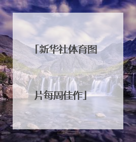 新华社体育图片每周佳作