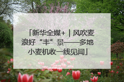 新华全媒+｜风吹麦浪好“丰”景——多地小麦机收一线见闻