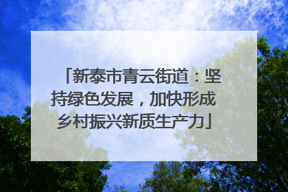 新泰市青云街道：坚持绿色发展，加快形成乡村振兴新质生产力
