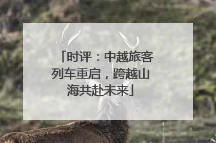 时评：中越旅客列车重启，跨越山海共赴未来