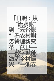 日照：从“流水账”到“云台账”看农村财务管理新变革，莒县——数字赋能激活乡村振兴“一池春水”
