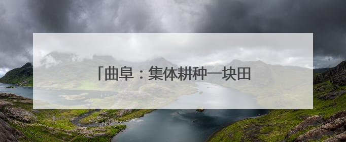 曲阜：集体耕种一块田 二张曲村“稻”路宽