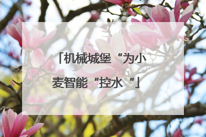 机械城堡“为小麦智能“控水“