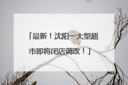 最新！沈阳一大型超市即将闭店调改！