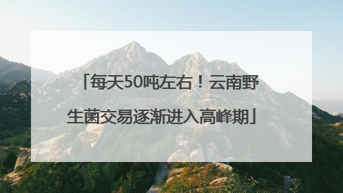每天50吨左右！云南野生菌交易逐渐进入高峰期