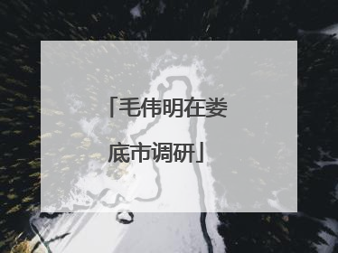 毛伟明在娄底市调研