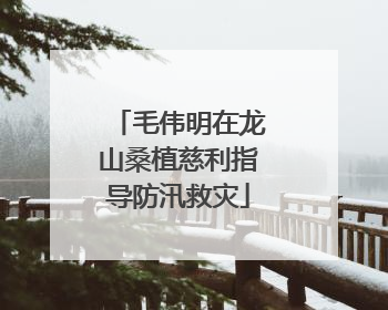 毛伟明在龙山桑植慈利指导防汛救灾