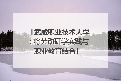 武威职业技术大学：将劳动研学实践与职业教育结合
