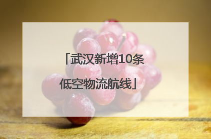 武汉新增10条低空物流航线