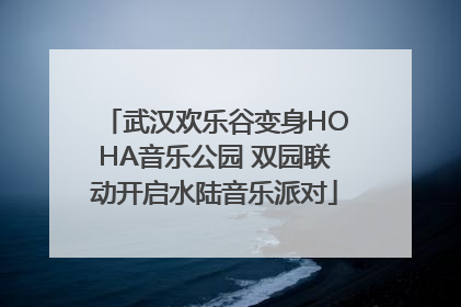 武汉欢乐谷变身HOHA音乐公园 双园联动开启水陆音乐派对