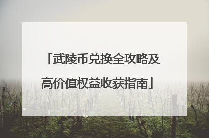 武陵币兑换全攻略及高价值权益收获指南