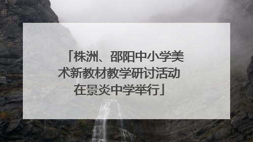 株洲、邵阳中小学美术新教材教学研讨活动在景炎中学举行