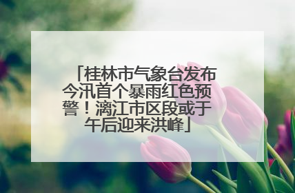 桂林市气象台发布今汛首个暴雨红色预警！漓江市区段或于午后迎来洪峰