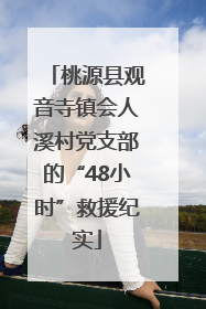 桃源县观音寺镇会人溪村党支部的“48小时”救援纪实