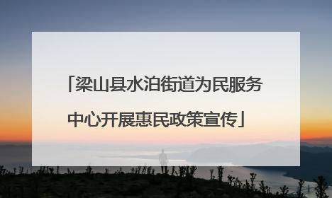 梁山县水泊街道为民服务中心开展惠民政策宣传