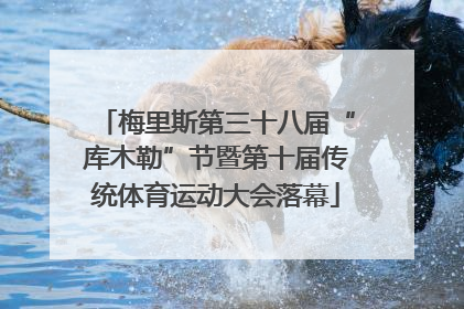 梅里斯第三十八届“库木勒”节暨第十届传统体育运动大会落幕