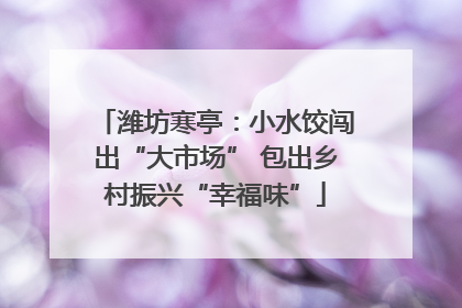 潍坊寒亭：小水饺闯出“大市场” 包出乡村振兴“幸福味”