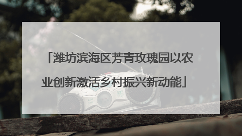 潍坊滨海区芳青玫瑰园以农业创新激活乡村振兴新动能