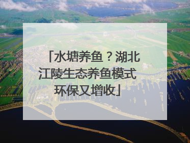 水塘养鱼？湖北江陵生态养鱼模式环保又增收