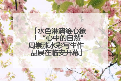 水色淋漓绘心象！“心中的自然”周崇涨水彩写生作品展在临安开幕