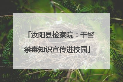 汝阳县检察院：干警禁毒知识宣传进校园
