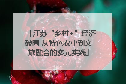 江苏“乡村+”经济破圈 从特色农业到文旅融合的多元实践