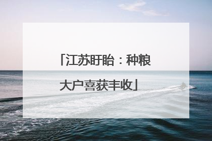 江苏盱眙：种粮大户喜获丰收