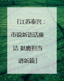 江苏泰兴：市说新语话廉洁 挺膺担当谱新篇