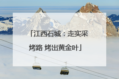 江西石城：走实采烤路 烤出黄金叶