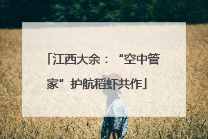江西大余：“空中管家”护航稻虾共作