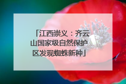 江西崇义：齐云山国家级自然保护区发现蜘蛛新种