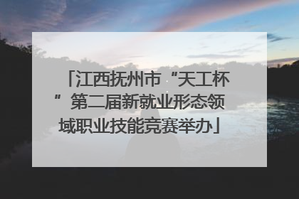 江西抚州市“天工杯”第二届新就业形态领域职业技能竞赛举办