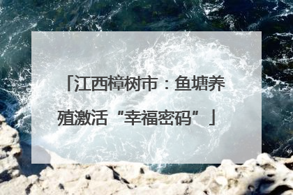 江西樟树市：鱼塘养殖激活“幸福密码”