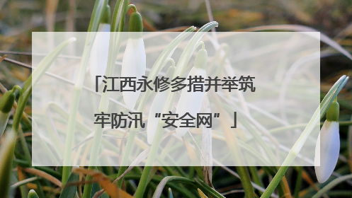 江西永修多措并举筑牢防汛“安全网”
