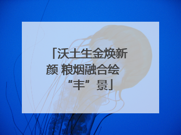 沃土生金焕新颜 粮烟融合绘“丰”景