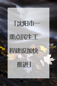 沈阳市一重点民生工程建设加快推进